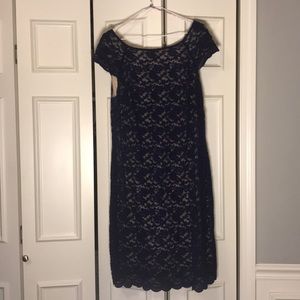 Blue & Cream Lace Overlay Dress